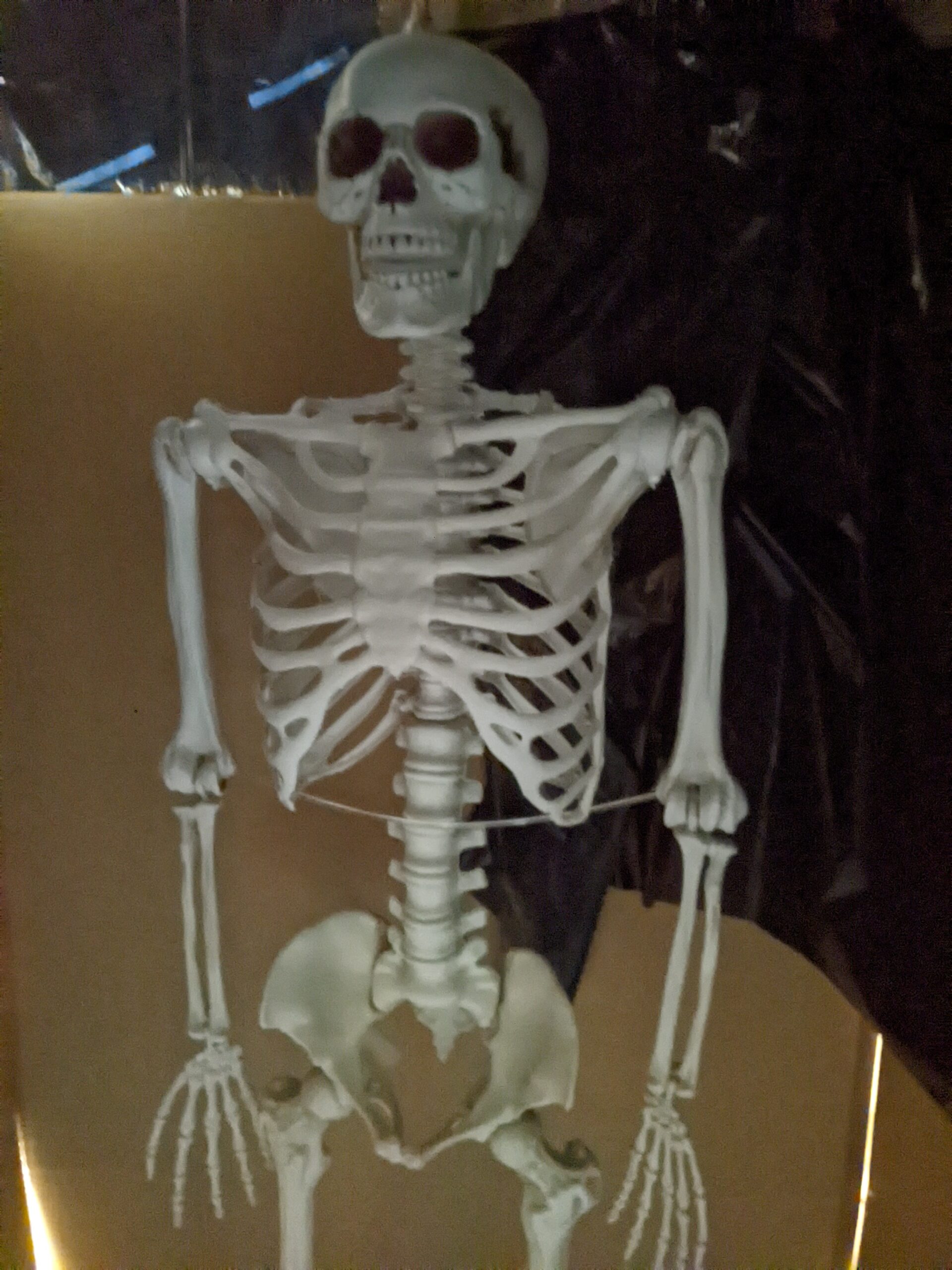 ハロウィンナイト2024